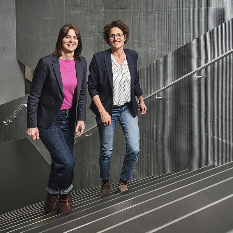 Csm Karriere Jus Team 3593Cc3006